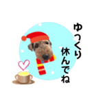ウェルシュテリア♡ジェリーさんの1日(23)（個別スタンプ：4）