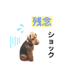 ウェルシュテリア♡ジェリーさんの1日(23)（個別スタンプ：10）