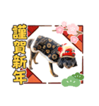 リアンお正月2022ver.（個別スタンプ：1）