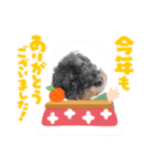 リアンお正月2022ver.（個別スタンプ：4）