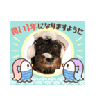 リアンお正月2022ver.（個別スタンプ：6）