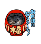 リアンお正月2022ver.（個別スタンプ：9）