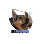 花‘s スタンプ3（個別スタンプ：7）