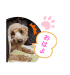 たまには挨拶したい（個別スタンプ：1）
