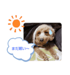 たまには挨拶したい（個別スタンプ：2）