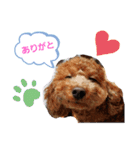 たまには挨拶したい（個別スタンプ：6）