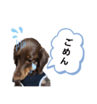 たまには挨拶したい（個別スタンプ：7）