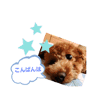 たまには挨拶したい（個別スタンプ：11）