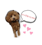 たまには挨拶したい（個別スタンプ：12）
