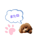 たまには挨拶したい（個別スタンプ：15）