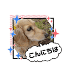 ☆ベルちゃんスタンプ☆（個別スタンプ：3）