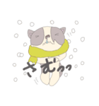 pepepepetta（個別スタンプ：3）