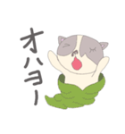 pepepepetta（個別スタンプ：5）