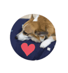 lov.ing（個別スタンプ：5）