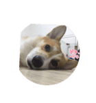 lov.ing（個別スタンプ：6）