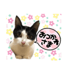 もふもふのおともだちたち（個別スタンプ：9）