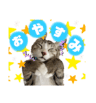 もふもふのおともだちたち（個別スタンプ：11）