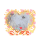 マルの可愛いしぐさ（個別スタンプ：4）