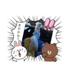 マルの可愛いしぐさ（個別スタンプ：5）