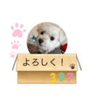 マルの可愛いしぐさ（個別スタンプ：6）