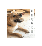 おちゃちゃ殿（個別スタンプ：5）