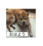 おちゃちゃ殿（個別スタンプ：10）