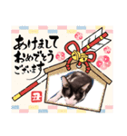 猫のるうちゃん（個別スタンプ：2）