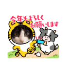 猫のるうちゃん（個別スタンプ：3）