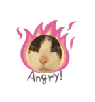 猫のるうちゃん（個別スタンプ：4）