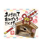 みんなと一緒15（個別スタンプ：3）