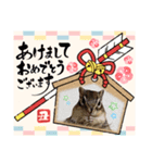 みんなと一緒15（個別スタンプ：4）