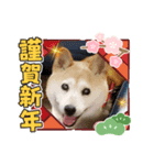 みんなと一緒15（個別スタンプ：5）