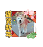 みんなと一緒15（個別スタンプ：8）