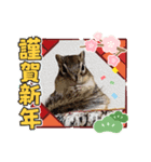 みんなと一緒15（個別スタンプ：10）