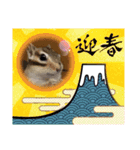 みんなと一緒15（個別スタンプ：12）