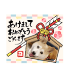 みんなと一緒15（個別スタンプ：13）