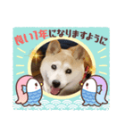 みんなと一緒15（個別スタンプ：14）