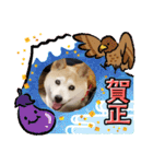 みんなと一緒15（個別スタンプ：16）