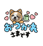 スムースチワワの吉平ちゃん（個別スタンプ：16）