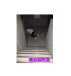 山田のいろいろスタンプ2（個別スタンプ：11）