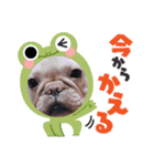 フレブル おはぎ＆きなこ年末年始（個別スタンプ：2）
