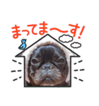 フレブル おはぎ＆きなこ年末年始（個別スタンプ：4）