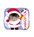 フレブル おはぎ＆きなこ年末年始（個別スタンプ：8）