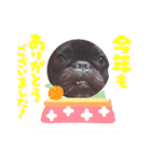 フレブル おはぎ＆きなこ年末年始（個別スタンプ：12）