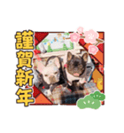 フレブル おはぎ＆きなこ年末年始（個別スタンプ：21）