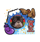 フレブル おはぎ＆きなこ年末年始（個別スタンプ：22）