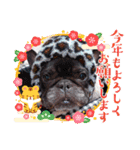 フレブル おはぎ＆きなこ年末年始（個別スタンプ：23）
