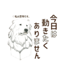 動物たちの敬語＆丁寧スタンプ♪（個別スタンプ：19）