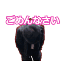 オザスタ！2021（個別スタンプ：3）