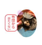 コモンマーモセット  らむね君3（個別スタンプ：10）